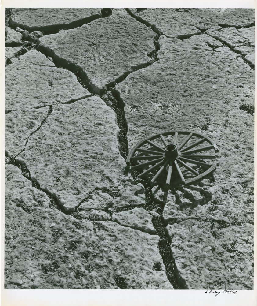 Click for larger image
